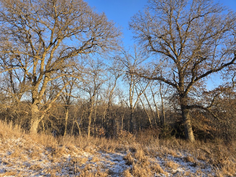 Decatur County, IA 83+/- primary image